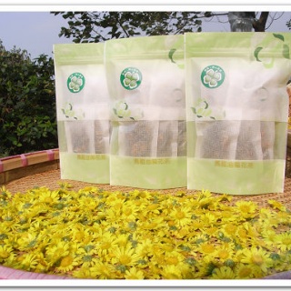 馬祖油菊花茶