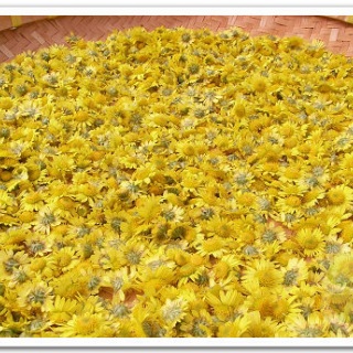 金銀花油菊茶